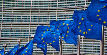 2026_01_12_AA_Rui_Alvez_480_portal